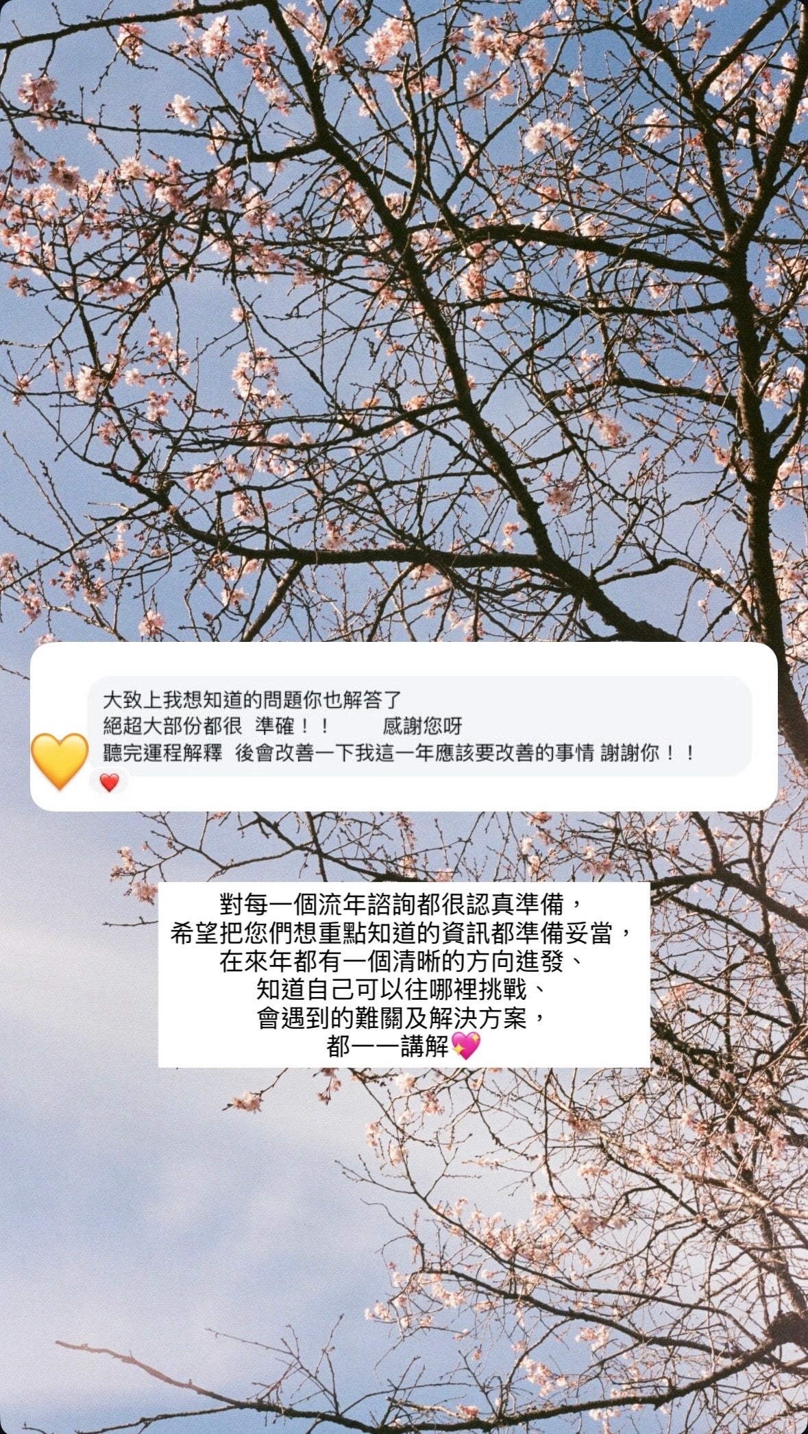 紫微斗數｜2026 流年一對一諮詢